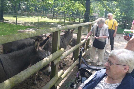 tierpark_besuch_4