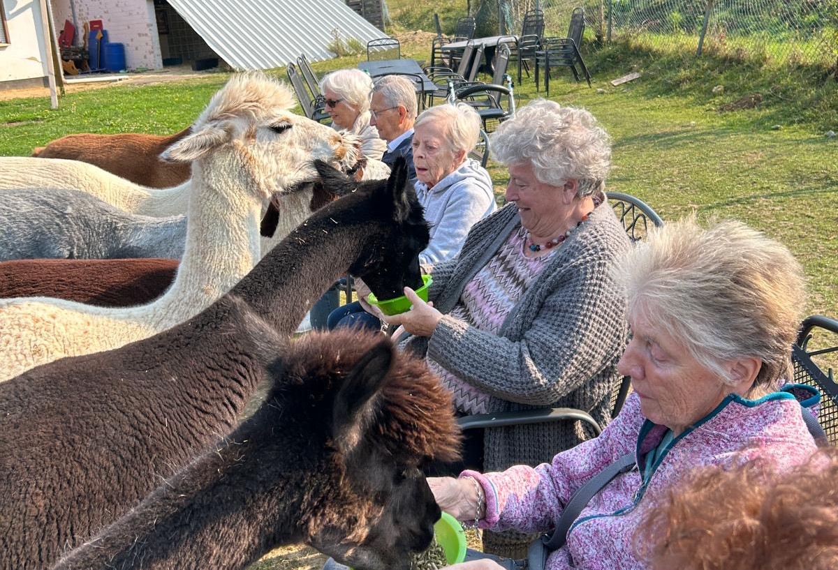 Ausflug zur Alpaka-Farm: Höhen und Tiefen!