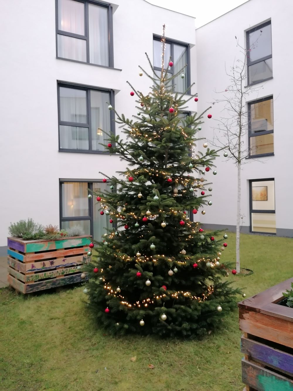 Weihnachtszauber in der Wohnanlage Am Dreeskamp